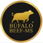 WhatsApp Image 2025-09-29 at 18.09.32 (1)